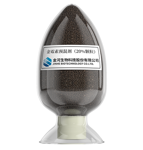 20% ��ù��Ԥ���